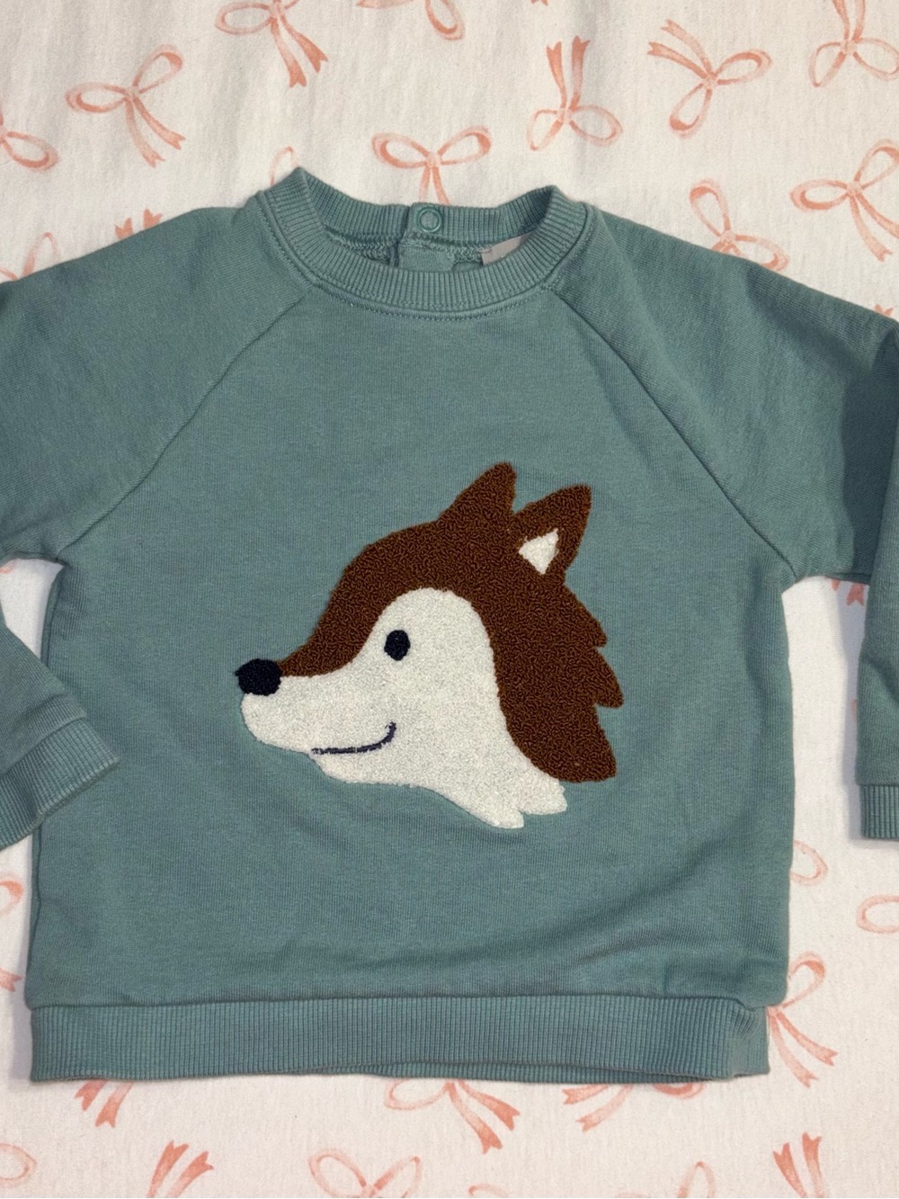 Kids Green Crewneck Sweatshirt with Husky Applique